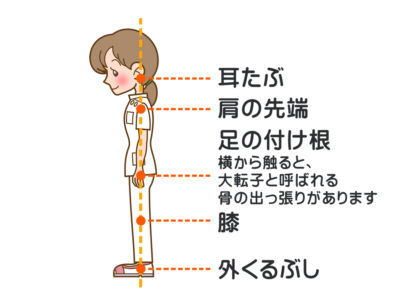 画像3098