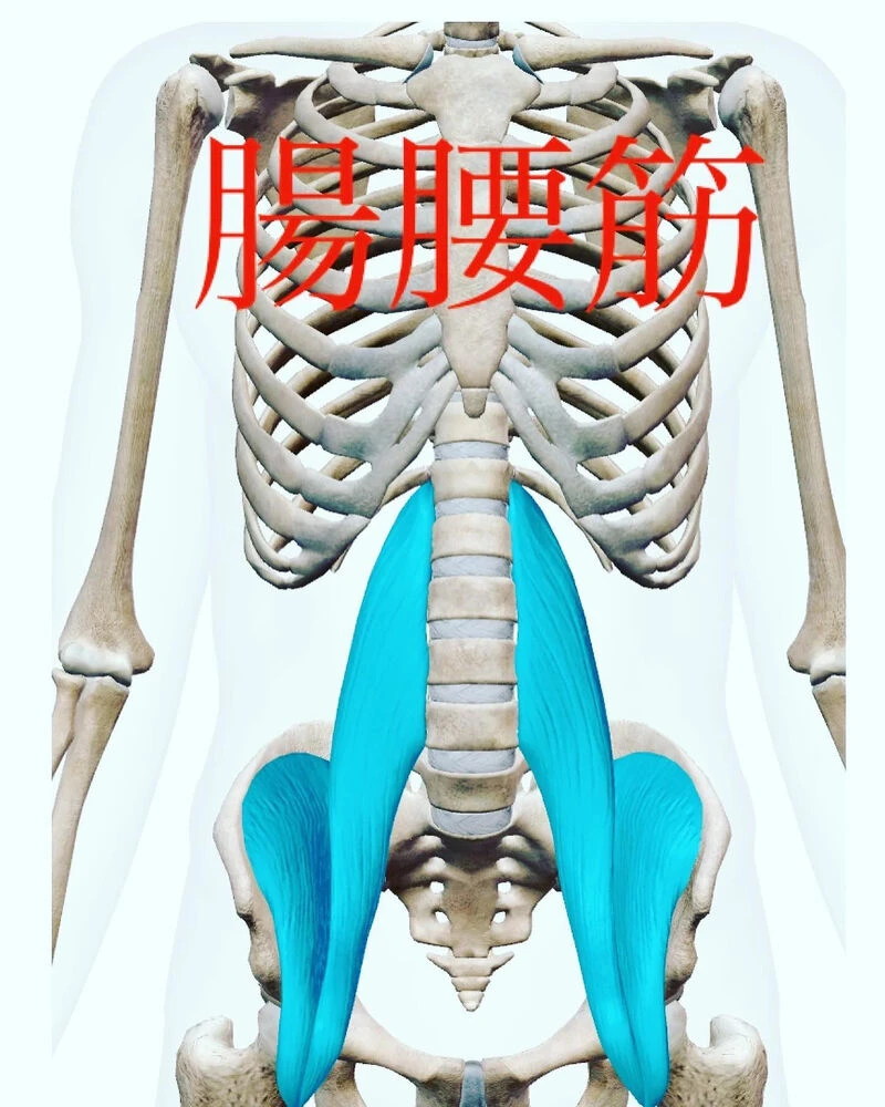 ブログ画像