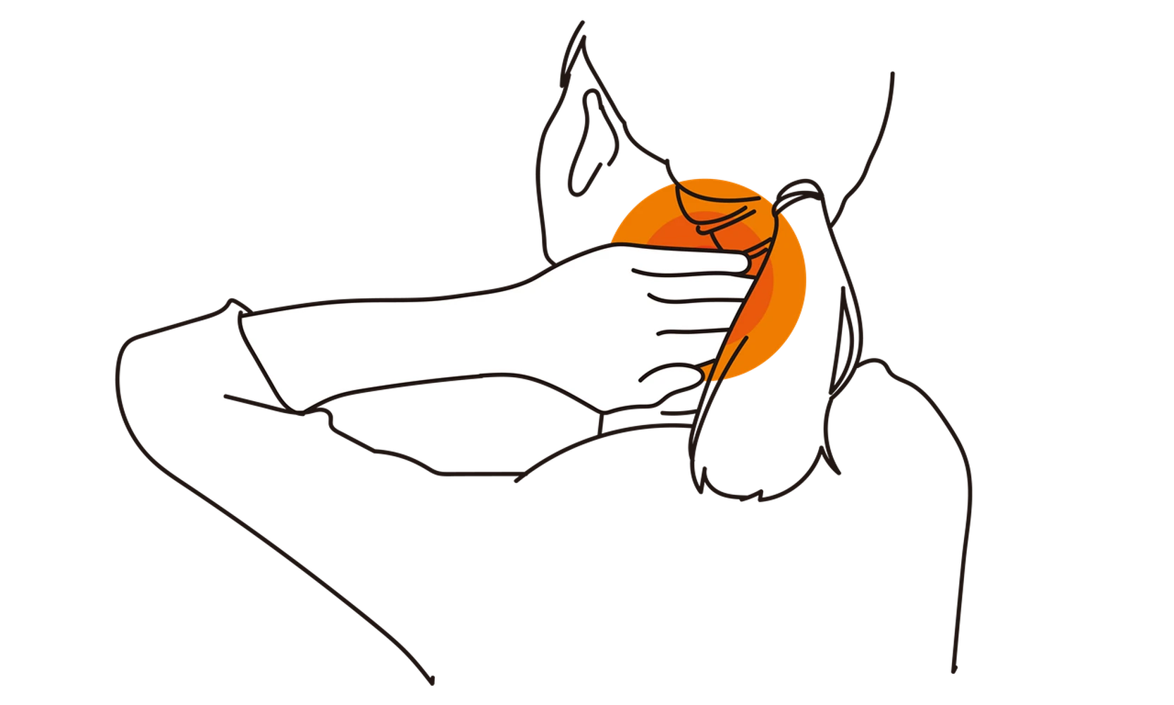 画像3988